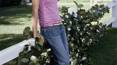 Andrea Bowen (*1990) spielte in "Desperate Housewives" Teri Hatchers Serientochter Julie Mayer. Zu Beginn der Serie war die Schauspielerin gerade mal 14 Jahre alt.