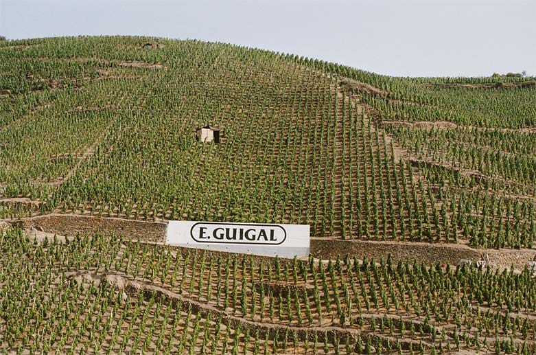 Hier wachsen die Weine von Guigal, einer berühmten Domaine im Rhônetal. Etliche Gewächse von Guigal wurden vielfach ausgezeichnet.