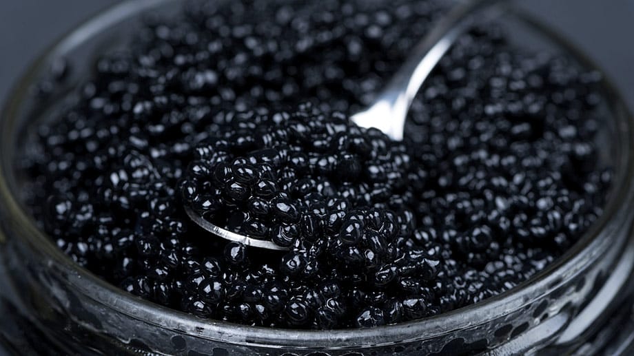 Kaviar, das ist der Rogen des Störs. Unreif und gesalzen sind seine Eier eine Delikatesse.