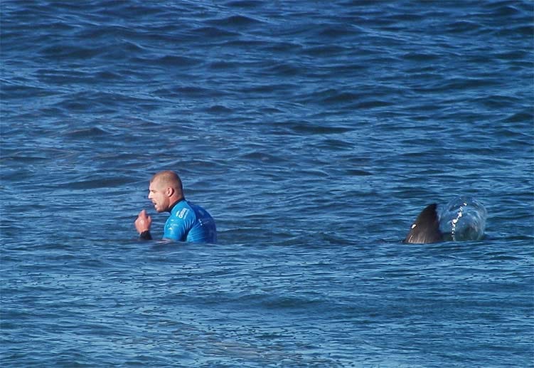 Dramatische Szenen bei den Surf-Weltmeisterschaft an der Jeffrey's Bay nahe Port Elizabeth in Südafrika: Während Dreifach-Weltmeister Mick Fanning im Finale auf eine Welle wartet, wird er von einem Hai angegriffen.