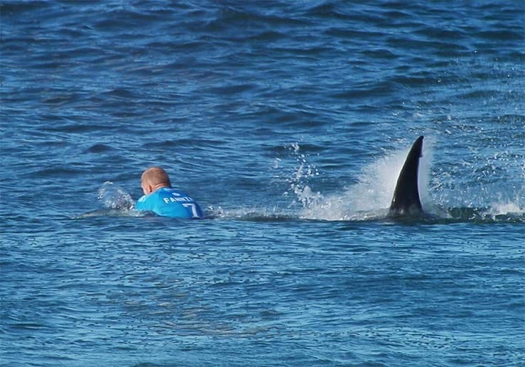 Der Hai nähert sich dem Surfer. Fanning beginnt, panisch mit seinen Füßen zu schlagen und windet sich.