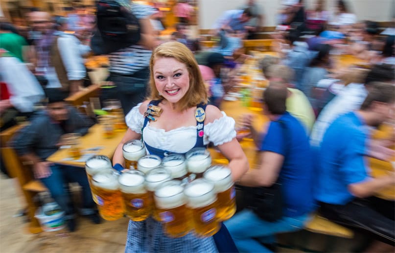 Viel zu tun: Eine Kellnerin trägt am 21.09.2014 beim 181. Münchner Oktoberfest auf der Theresienwiese in München im Hofbräuzelt zehn Maß Bier zu einem Tisch.