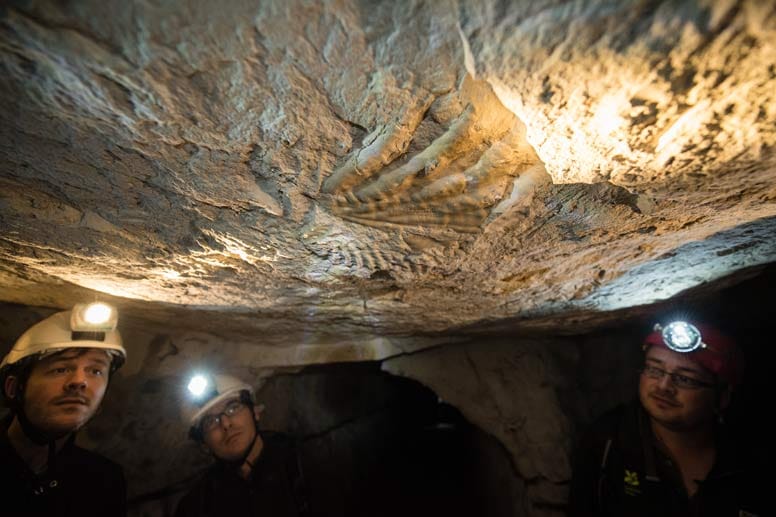 Im Inneren des Tunnels lassen sich auch Fossilien bewundern.