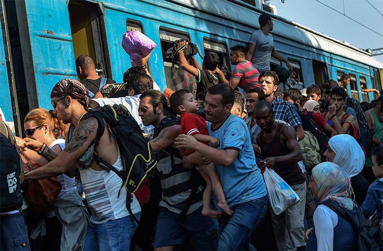 Flüchtlinge aus aller Herren Länder drängen sich an der mazedonischen Grenze in den Zug nach Serbien. Ungarn ist die nächste Etappe ihrer Flucht.