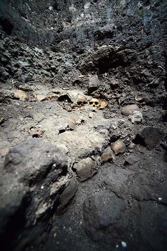 Forscher entdecken unter der Erde Mexikos eine Wand mit Schädeln von Menschenopfern aus der Aztekenzeit. Insgesamt sind 35 Schädel zu erkennen. Forscher entdecken unter der Erde Mexikos eine Wand mit Schädeln von Menschenopfern aus der Aztekenzeit. Insgesamt sind 35 Schädel zu erkennen.