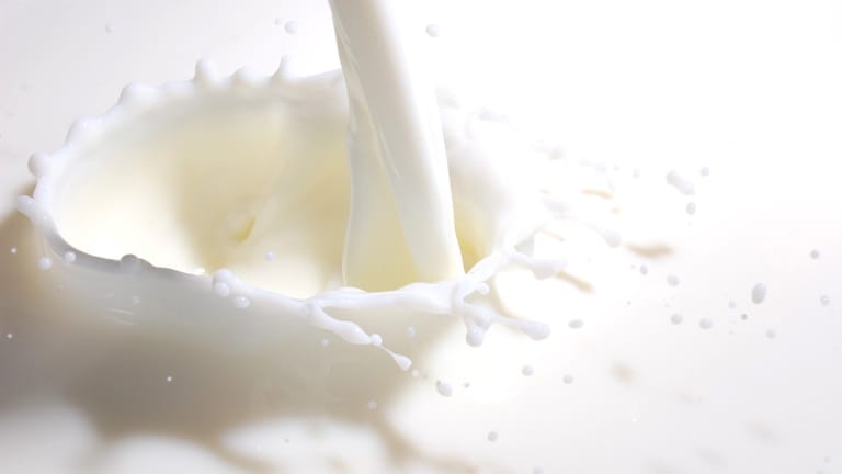 Ohne Milch kein Muskeltraining: Ein Liter bringt 34 Gramm Eiweiß mit. Das ist eine gut schmeckende Basis. Die fettarme Variante zu wählen ist sehr sinnvoll, wenn täglich viel getrunken wird.