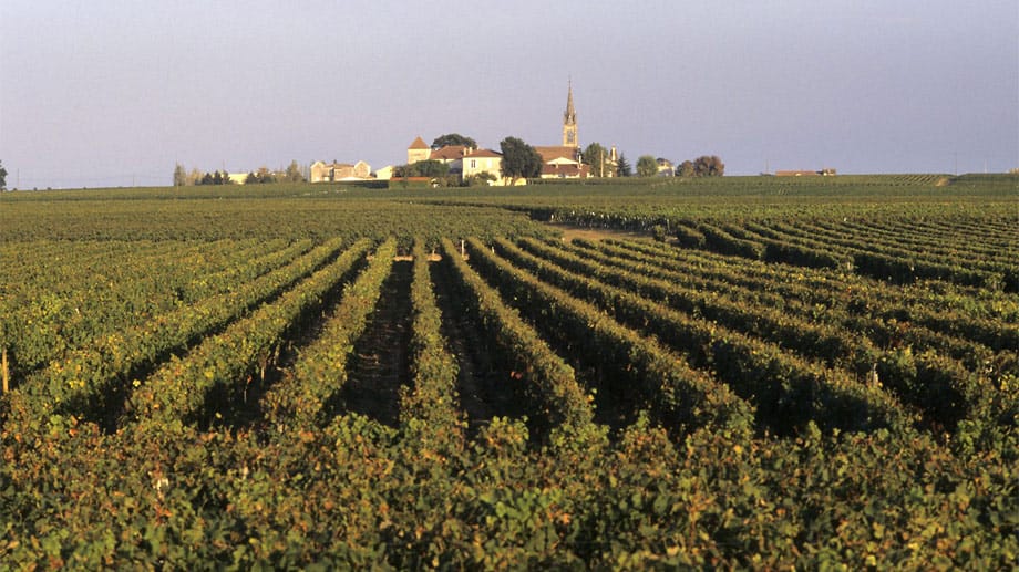 Die großen Weine von Pétrus (ohne "Château" im Namen) und Le Pin stammen aus dem kleinen Ort Pomerol, hier im Bild. Dort gleichen die Weingüter nicht Schlössern, wie es im Médoc üblich ist. Sie wirken von außen eher bescheiden.