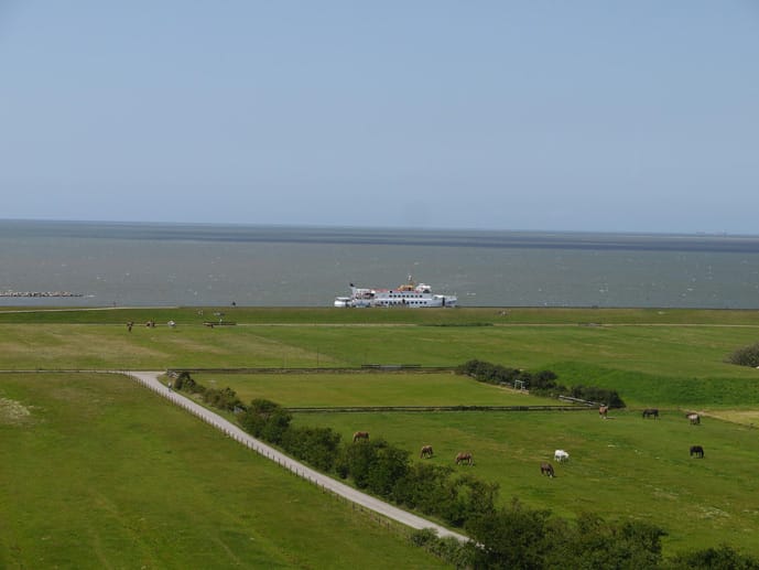 Dies ist der Blick vom Neuwerker Turm: grasende Pferde, saftige Wiesen, MS Flipper auf der Elbe.