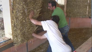 Strohballen kleiden das Holzständerwerk aus