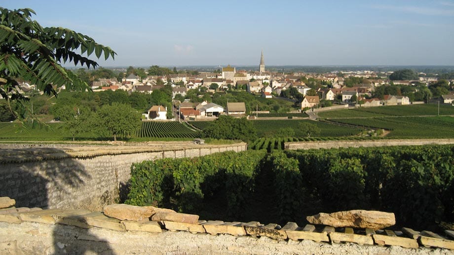 Uralte Tradition, aber selten Moderne: Der traditionelle, in Spitzenlagen sehr teure Pinot-Noir-Wein aus dem Burgund bekommt langsam Konkurrenz – aus Deutschland.
