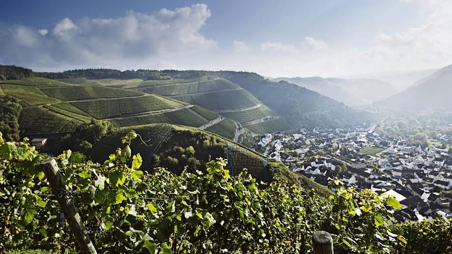 Steile Hänge, feinste Rotweine: In den Steillagen des Ahrtals gedeiht der Spätburgunder mittlerweile auf höchstem Niveau. Weingüter wie Meyer-Näkel, Stodden und Adeneuer produzieren hier feinsten Pinot.
