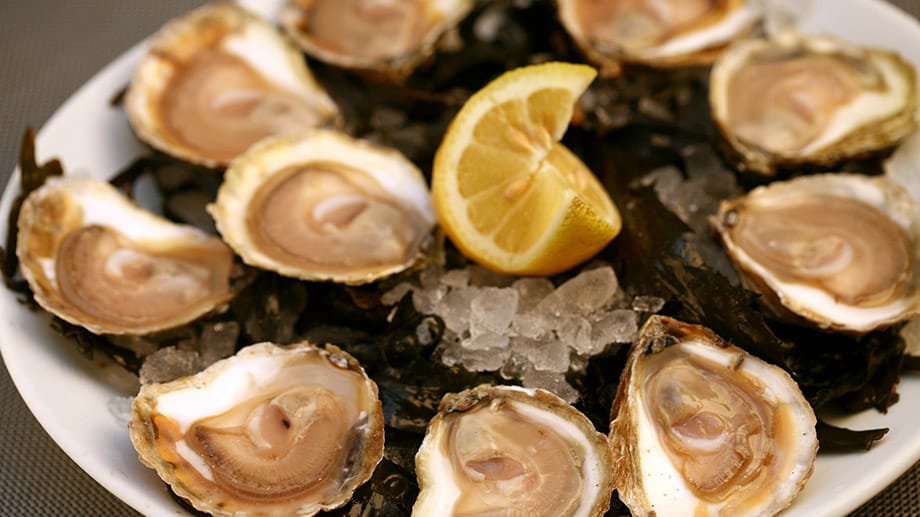 Flache Austern sind feiner im Geschmack und verfügen über eine leicht nussige Note. Sie sind die ursprüngliche, europäische Austernsorte.