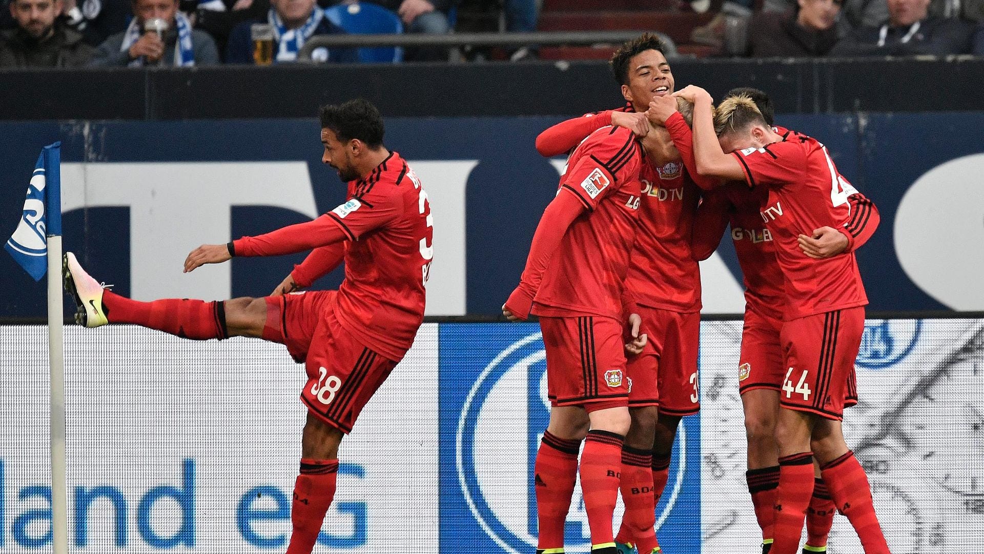 Leverkusens Spieler feiern Javier Hernandez für dessen Treffer auf Schalke.