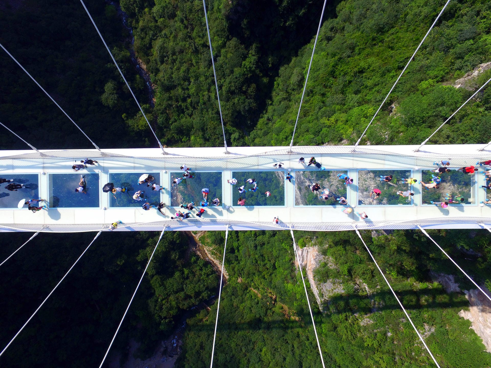 Am 20. August 2016 eröffnete die "Zhangjiajie Grand Canyon Glass Bridge" im gleichnamigen Nationalpark für Besucher.