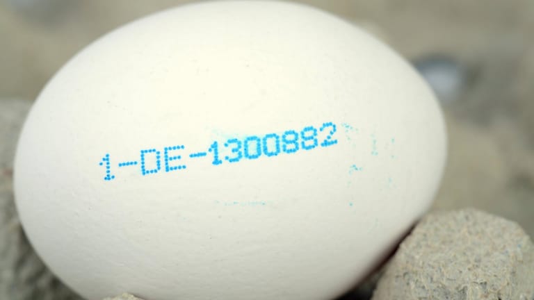 Ei mit Erzeugercode: Die erste Ziffer steht für die Haltungsform der Hennen. Dieses Ei stammt aus Freilandhaltung.