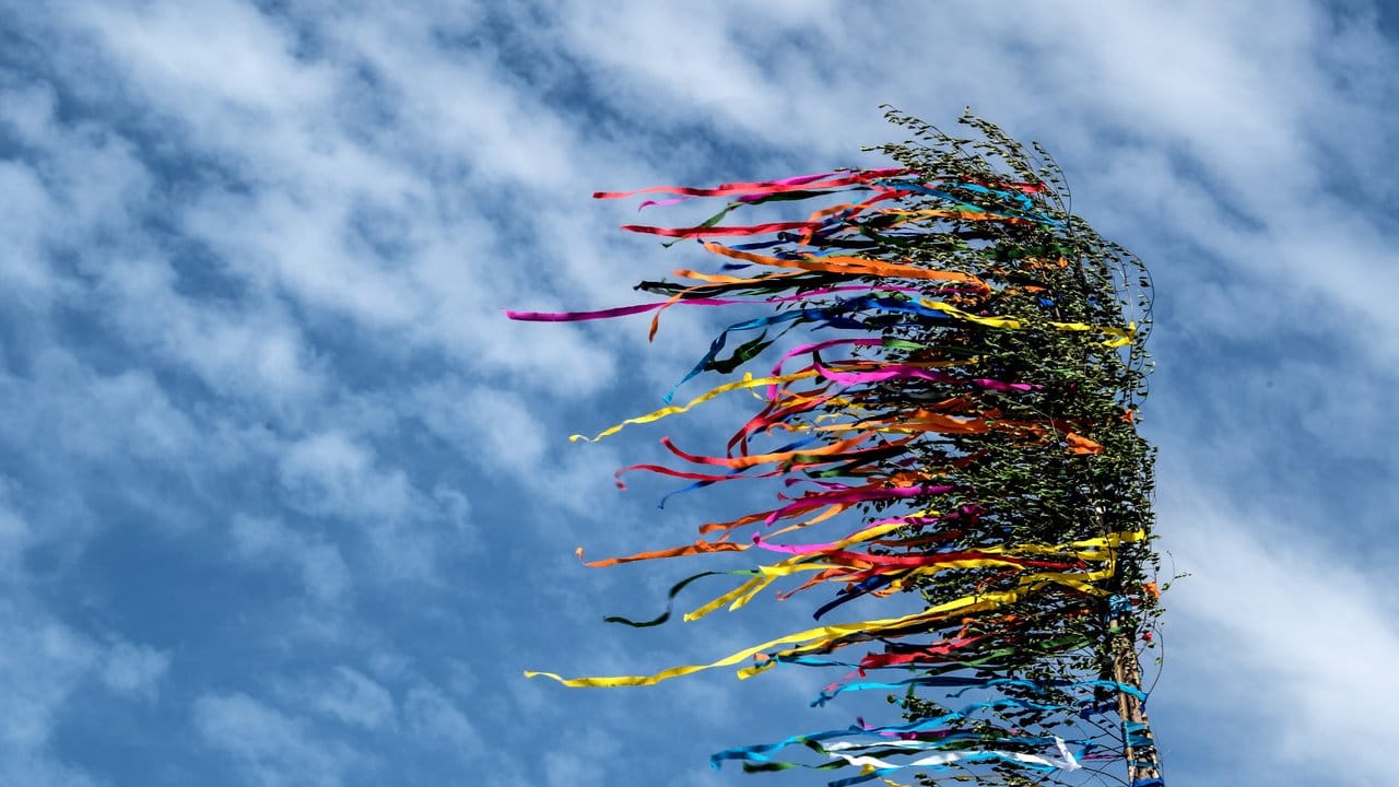 Maibaum (Archivbild): Der Maibaum hat genauso wie der Tanz in den Mai eine lange Tradition.