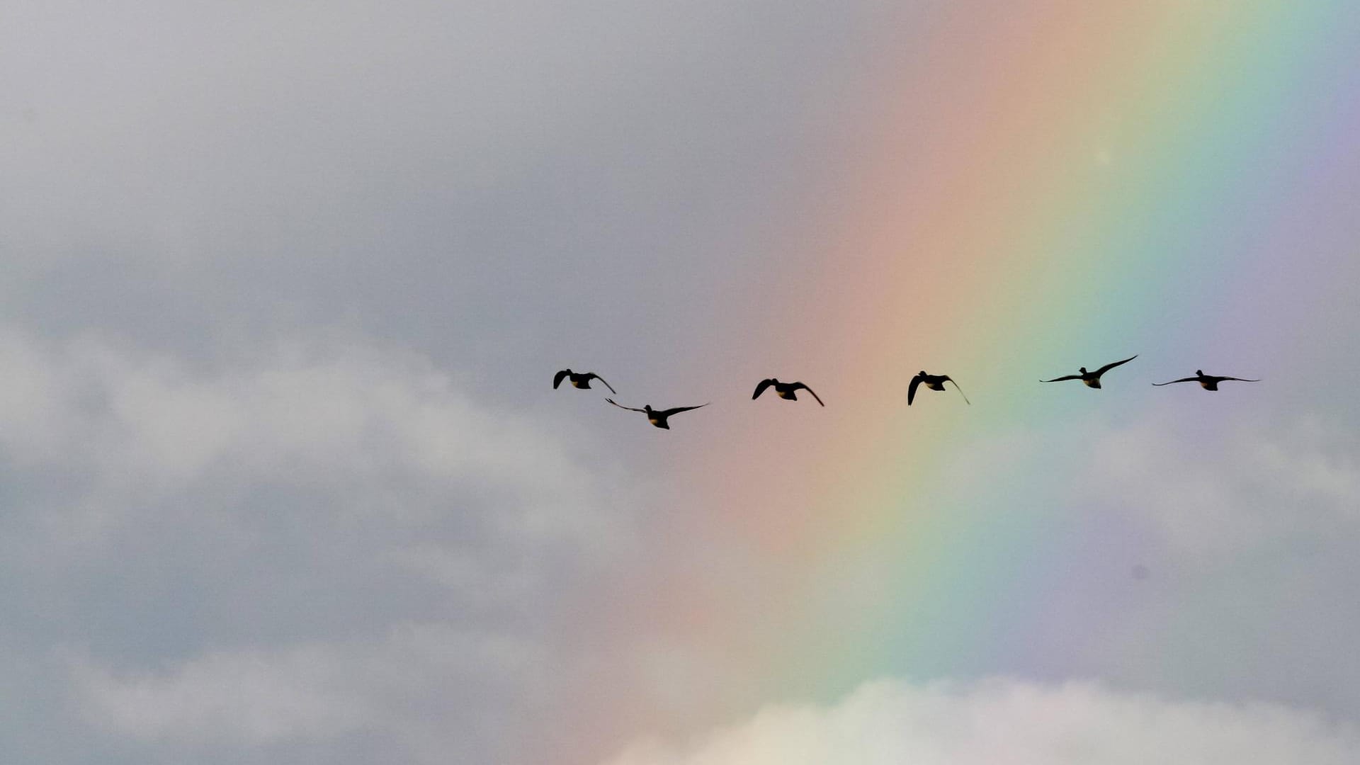 Himmel: Das Sonnenlicht vereint alle Farben des Regenbogens.