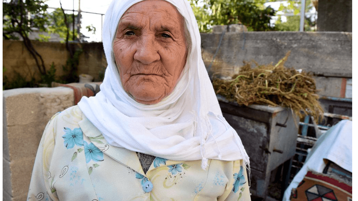 27.4.2018: Siedler fällen die 14 Olivenbäume von Jamileh Shehadeh, 81. Ihre Söhne haben eine Arbeitserlaubnis in Israel. Sie beschweren sich daher lieber nicht.