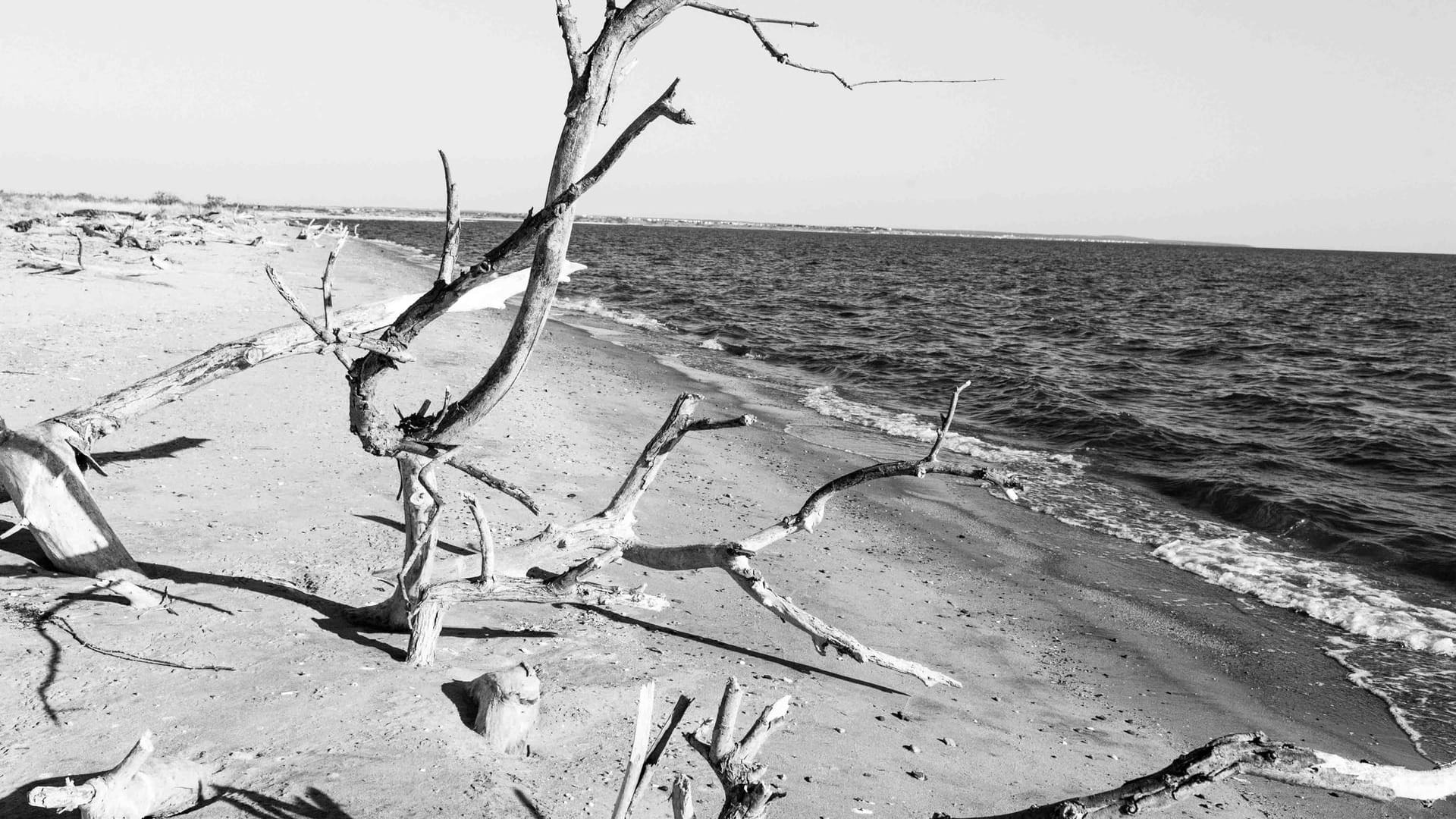 Das Delta. Hier ergießt sich der Evros ins Thrakische Meer.