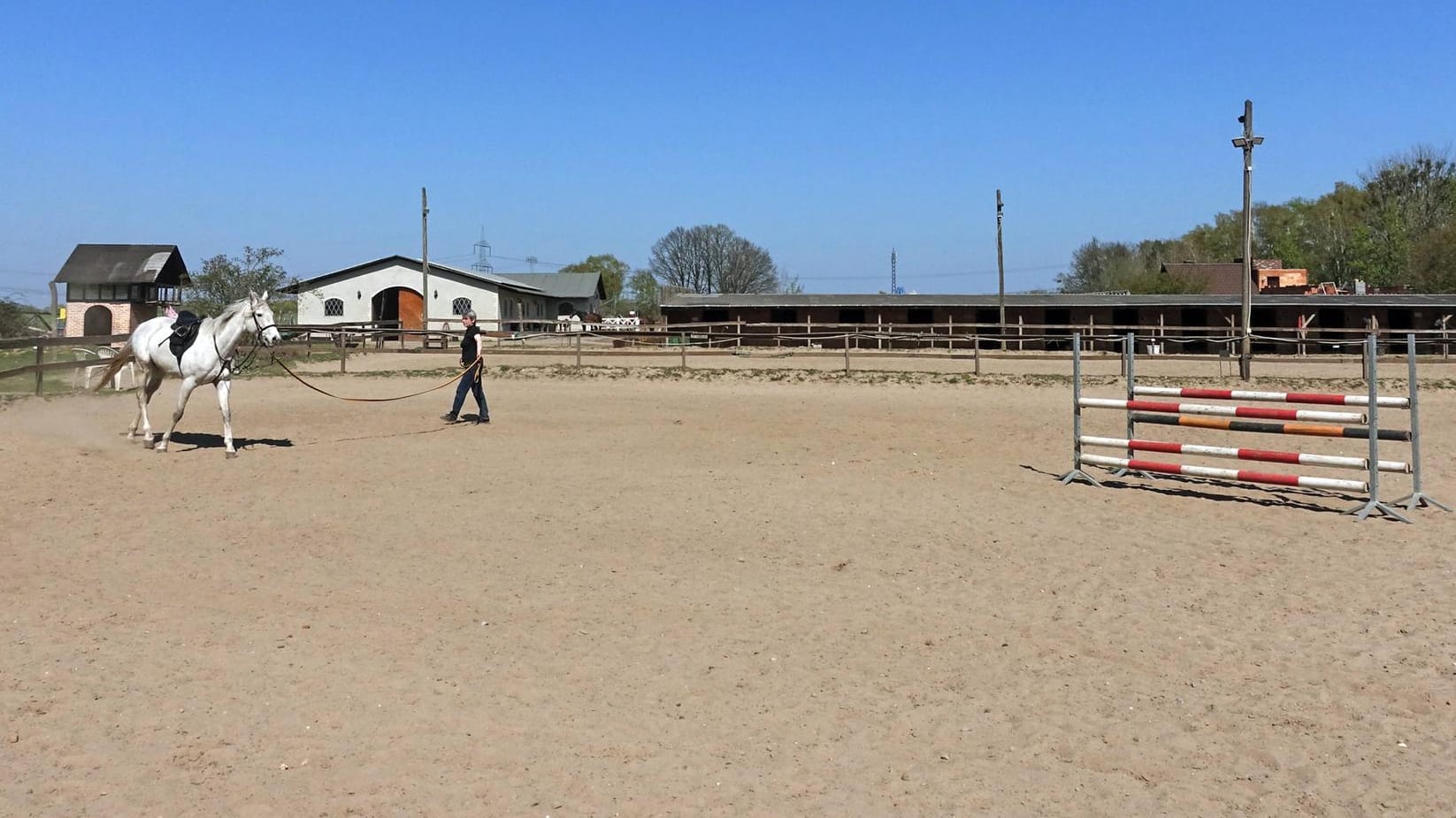 Ein Pferd wird auf einem Reitplatz longiert: Katharina entschied sich als Teenager für das Springreiten, ihr Reitlehrer missbrauchte sie. Erst viele Jahre später kann sie ein normales Leben führen. (Symbolfoto)