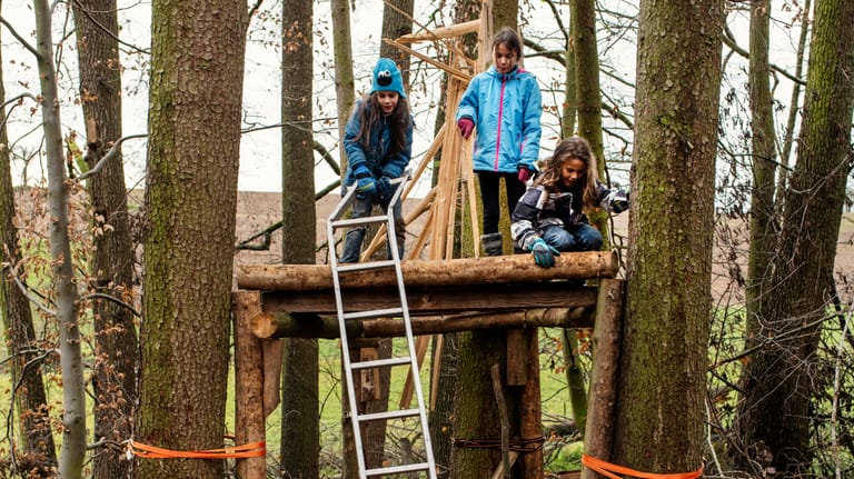 Nachmittags radeln Runa, Leif und Finn gern zu einem Baumhaus am nahe gelegenen Waldrand.
