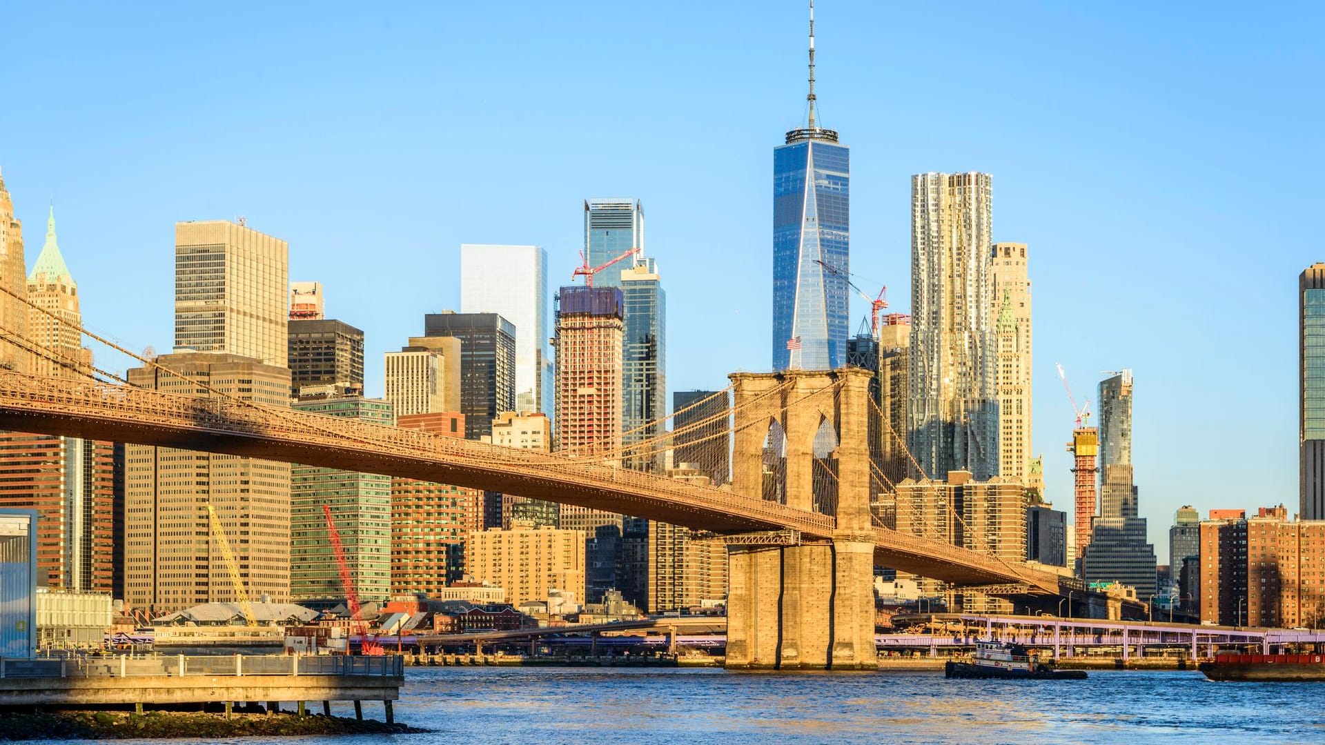 Die Skyline von New York heute: Das "One World Trade Center" ragt über die anderen Gebäude hinaus. Die Skyline von New York heute: Das "One World Trade Center" ragt über die anderen Gebäude hinaus.
