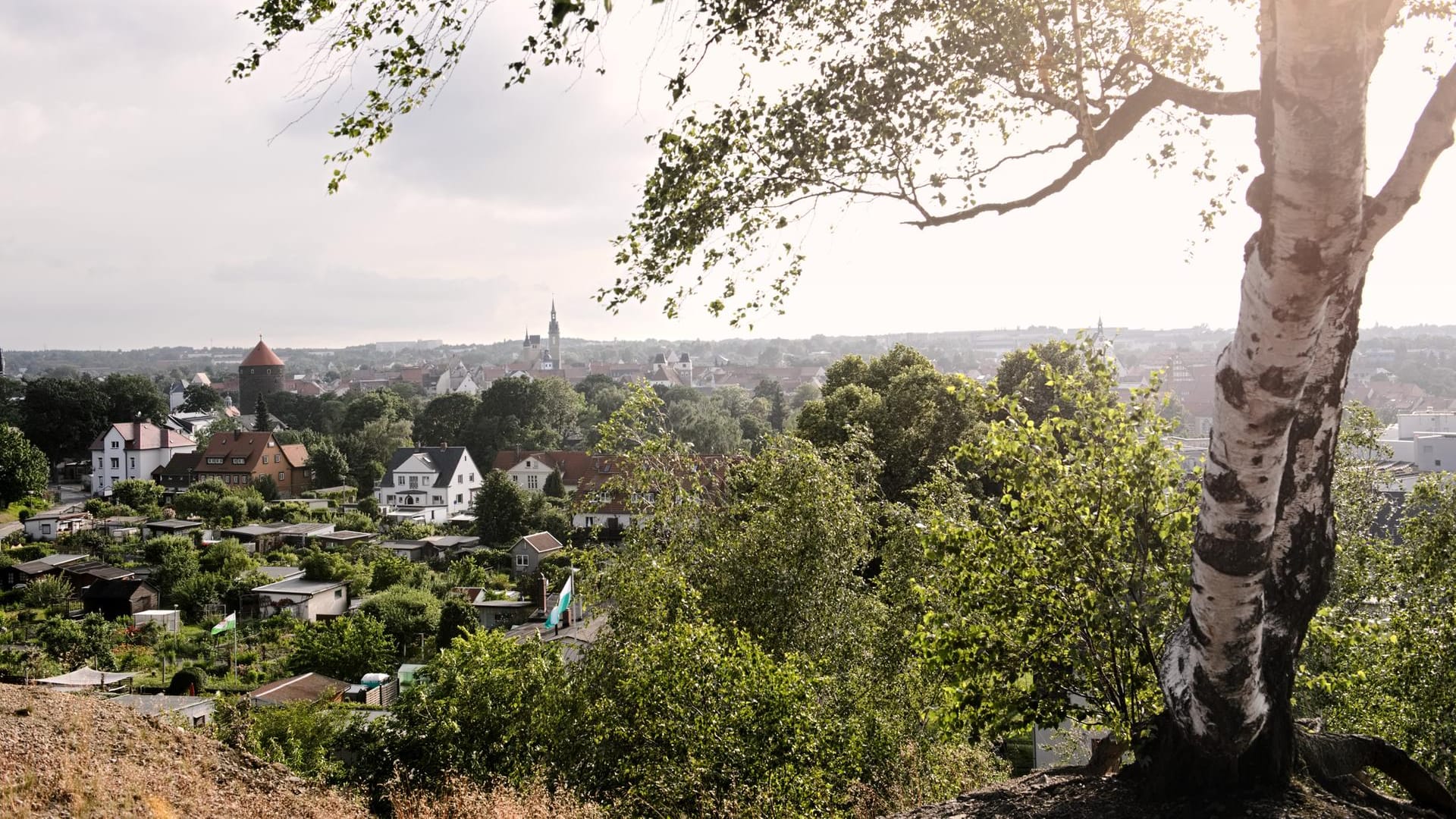 Blick über Freiberg: Die sächsische Stadt ist eine der AfD-Hochburgen.