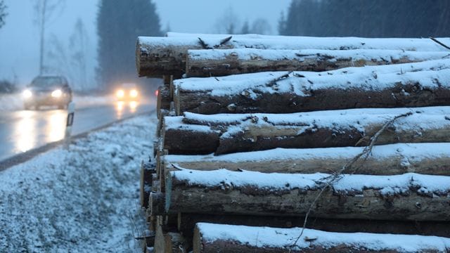 Schneefall im Harz