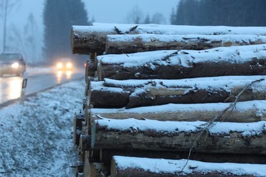 Schneefall im Harz