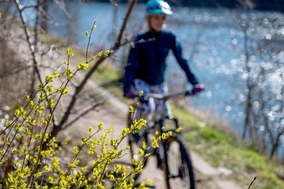 Eine Fahrradtour stärkt das Herz-Kreislauf-System - und kann somit Wetterfühligkeit vorbeugen.