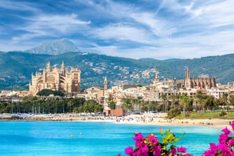 Palma de Mallorca: Die Baleareninsel ist ein beliebtes Urlaubsziel der Deutschen.