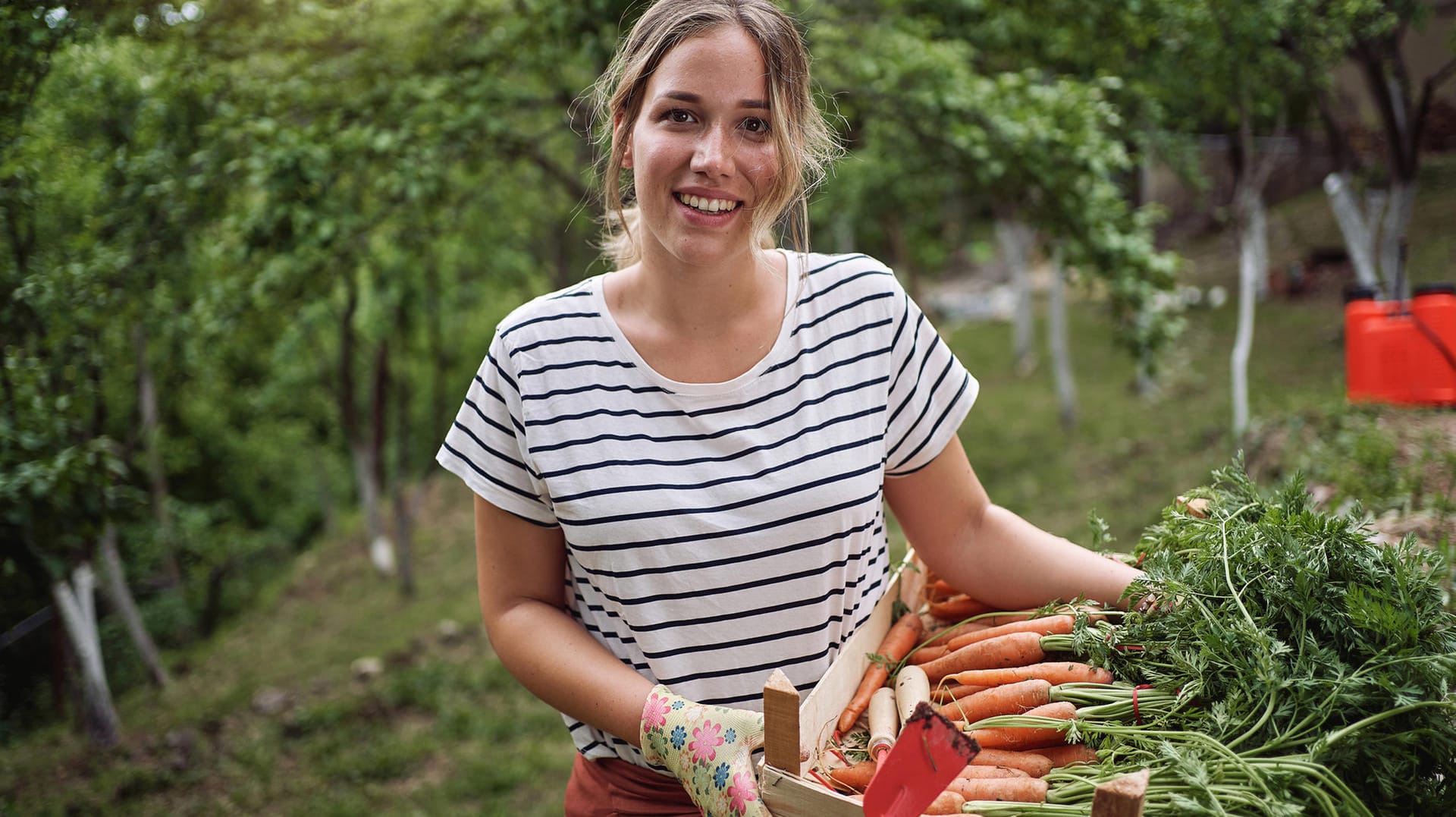 Gartenarbeit: Unkraut wirkt sich schlecht auf die Ernte aus. Es ist daher sinnvoll, schon frühzeitig etwas gegen unliebsame Gewächse zu tun und so den Ernteertrag zu erhöhen.