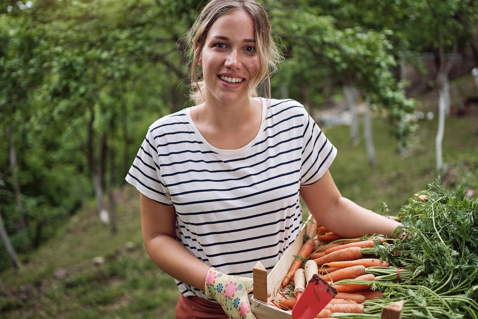 Gartenarbeit: Unkraut wirkt sich schlecht auf die Ernte aus. Es ist daher sinnvoll, schon frühzeitig etwas gegen unliebsame Gewächse zu tun und so den Ernteertrag zu erhöhen.