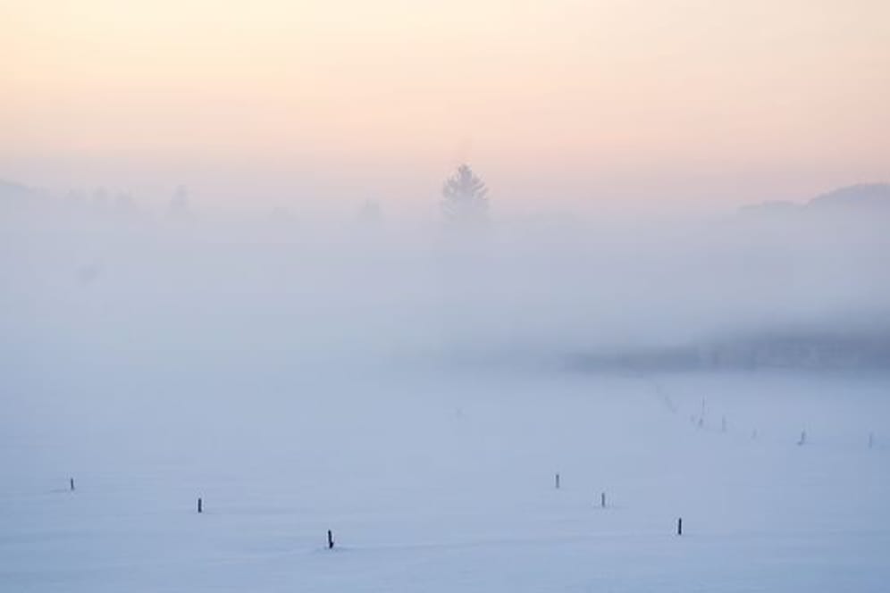Nebel