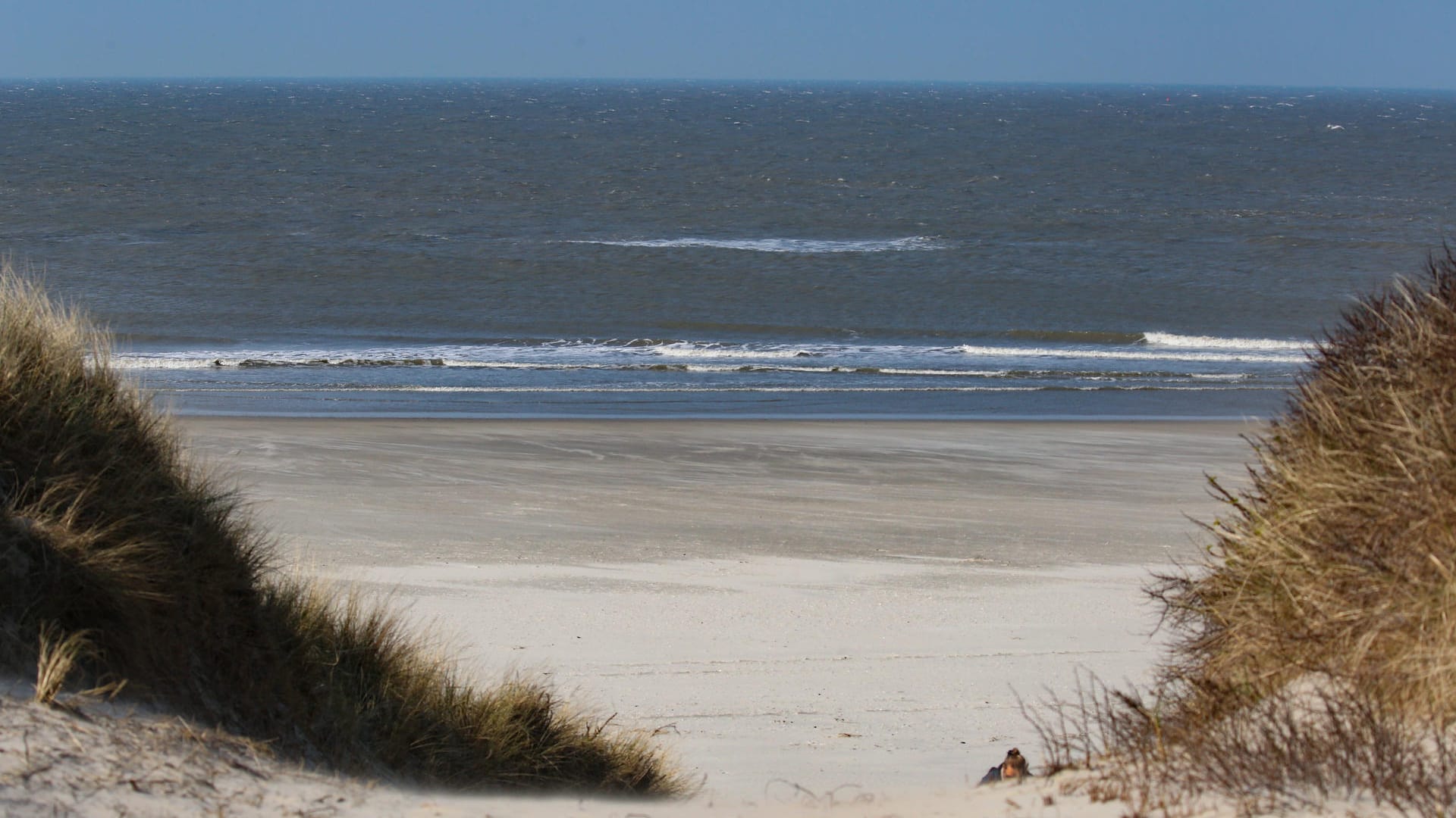 Strand auf Langeoog (Symbolbild): Auch auf den Inseln finden viele Hochzeiten statt.