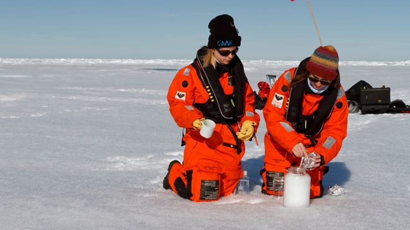 Wissenschaftler des Alfred-Wegener-Instituts nehmen Schneeproben auf dem Meereis.