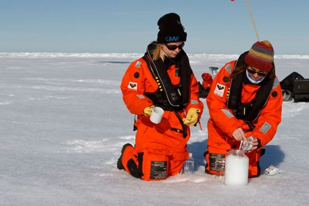 Wissenschaftler des Alfred-Wegener-Instituts nehmen Schneeproben auf dem Meereis.
