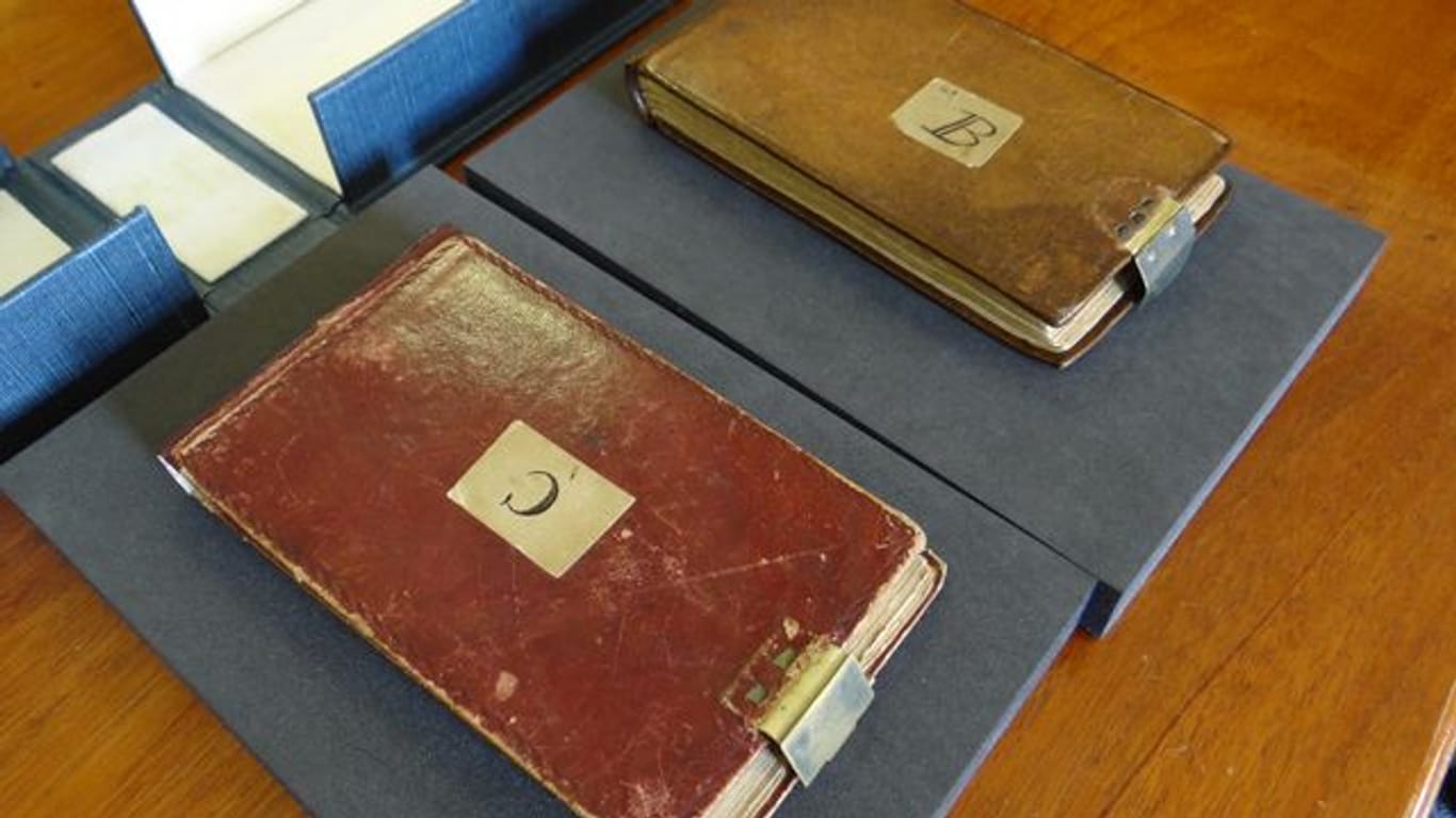 Die beiden Darwin-Manuskripte wurden anonym an die Cambridge University Library zurückgegeben.