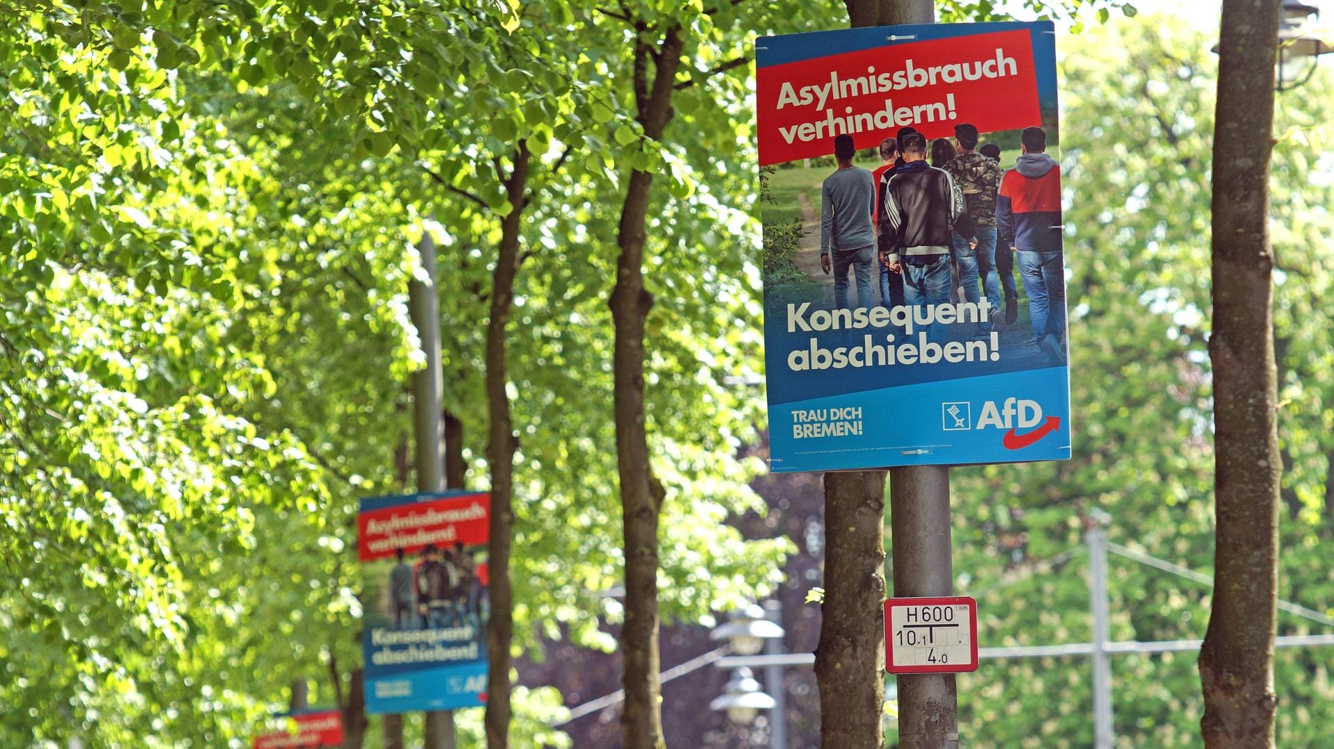Wahlplakate der AfD (Archivbild): Helfer der Partei sollen attackiert und teilweise verletzt worden sein. Wahlplakate der AfD (Archivbild): Helfer der Partei sollen attackiert und teilweise verletzt worden sein.