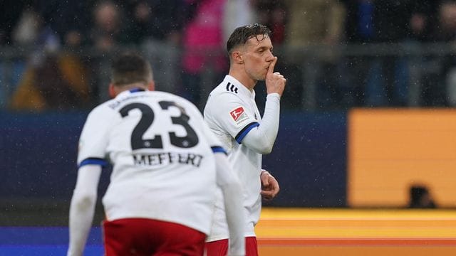 Hamburger SV - Erzgebirge Aue