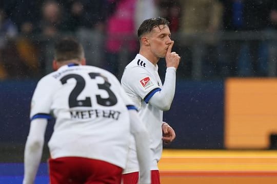 Hamburger SV - Erzgebirge Aue