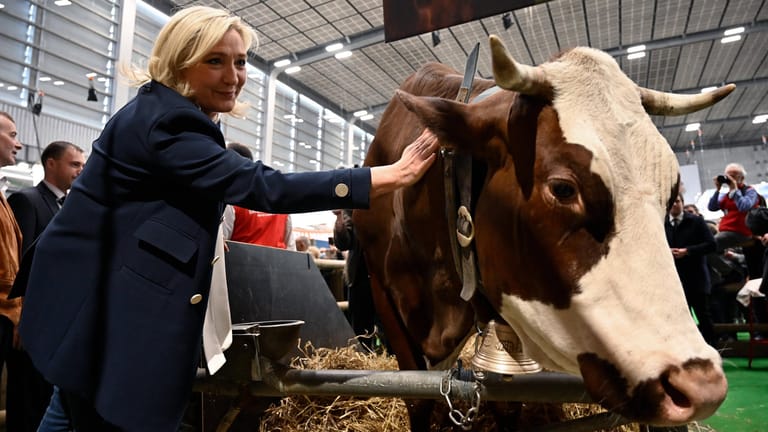 Marine Le Pen: Die Politikerin hat in den vergangenen Jahren an ihrem Image gearbeitet.