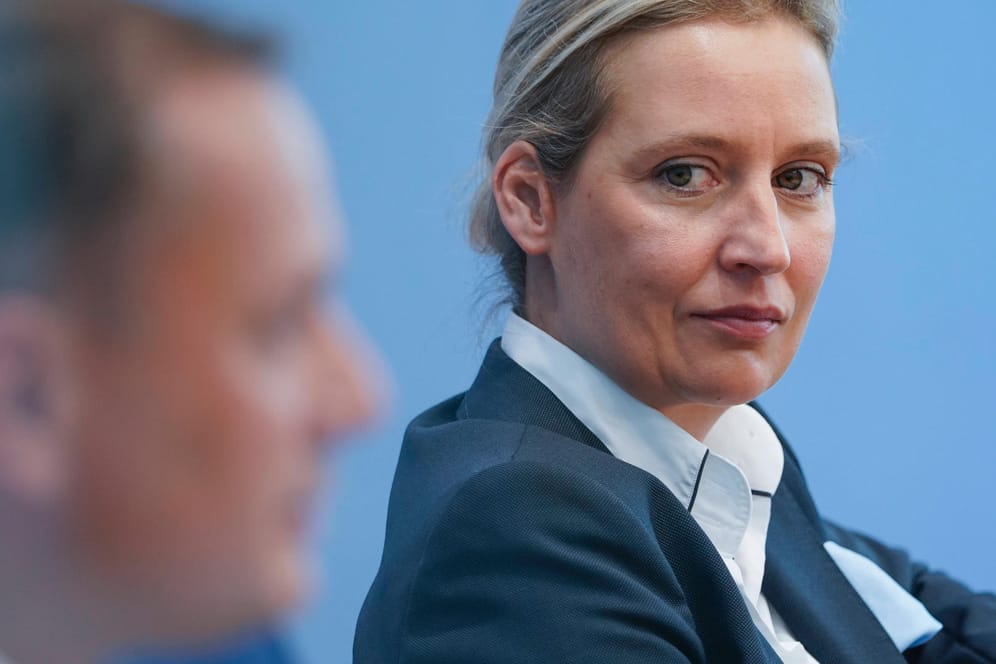 AfD-Co-Fraktionschefin Alice Weidel: Sie pocht auf den einzigartigen Sanktionskatalog ihrer Fraktion.
