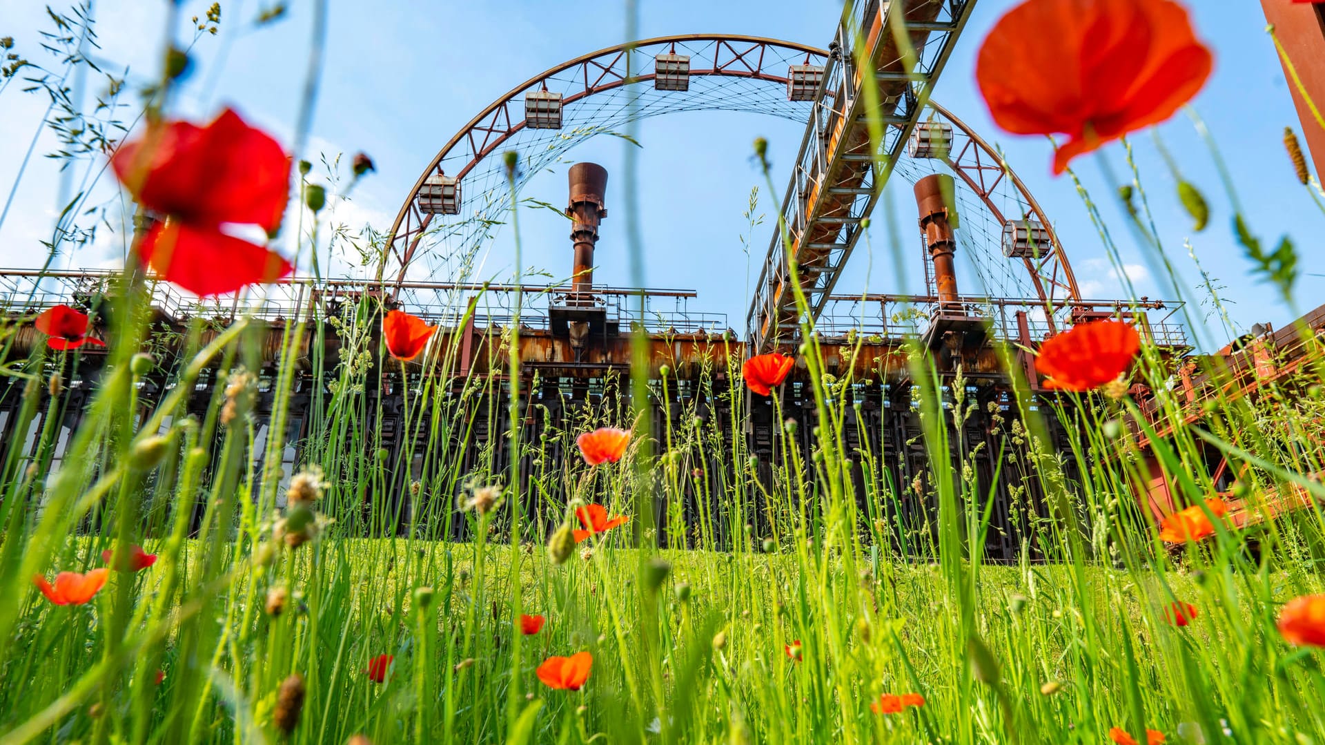 Die stillgelegte Zeche Zollverein bei Essen: Nicht nur an ehemaligen Industriestandorten ist die Metropolregion Ruhrgebiet besonders grün.