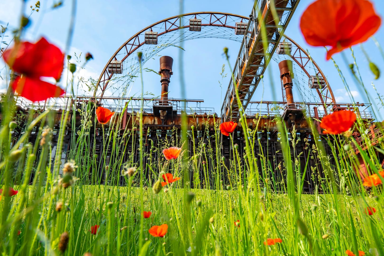 Die stillgelegte Zeche Zollverein bei Essen: Nicht nur an ehemaligen Industriestandorten ist die Metropolregion Ruhrgebiet besonders grün.