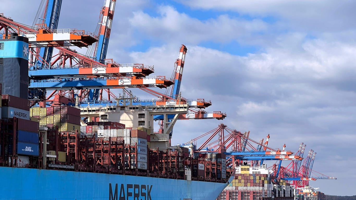 Containerschiffe im Hamburger Hafen (Symbolbild): Bei einer möglichen Havarie könnte der Schlepper aushelfen.