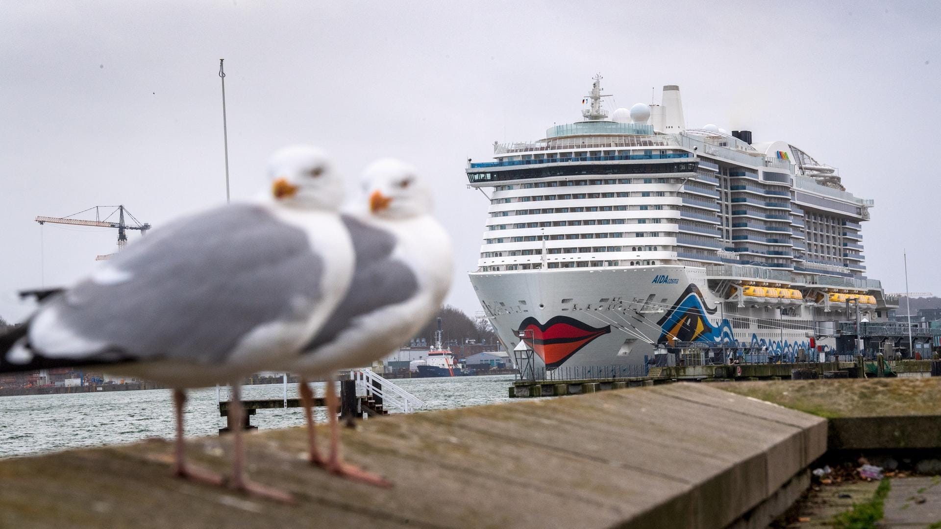 Kreuzfahrtschiff im Kieler Hafen: Für die Kreuzfahrtbranche beginnt eine neue Saison.