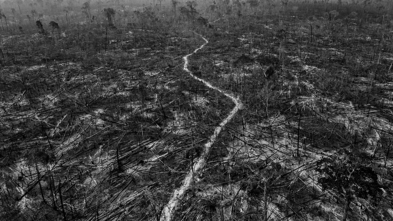 Brasilien, Manicoré: Blick auf Abholzungen im Amazonaswald. Präsident Jair Bolsonaro hatte während seines Wahlkampfs 2018 versprochen, die 870 Kilometer lange Straße BR-319 neu zu asphaltieren.