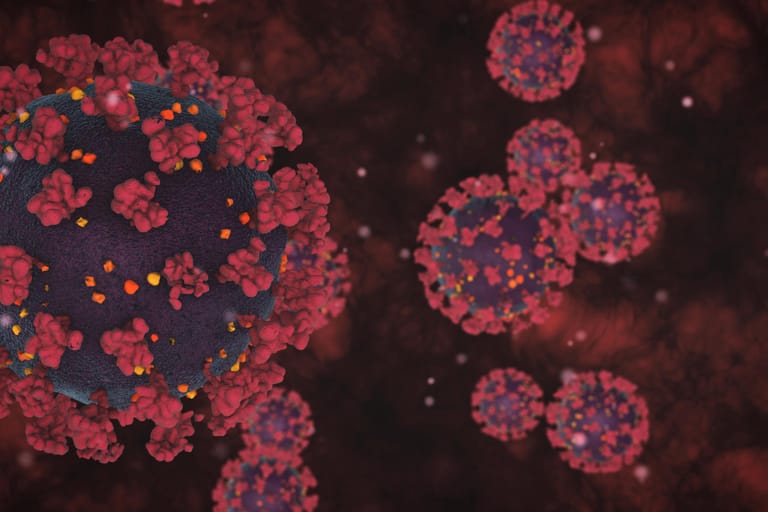 Das Coronavirus unter dem Elektronenmikroskop: Endet die Pandemie in diesem Jahr?