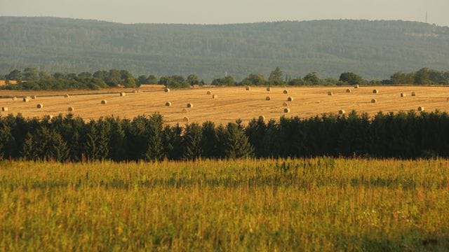 Landwirtschaft